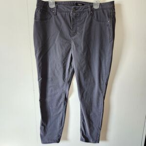 Curve Appeal Minimalist Jeggings Gray High Rise Tummy Control Slim Fit 14/32